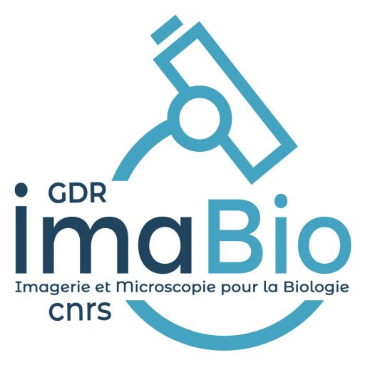 Imabio Web Conference : Light Sheet Imaging and multiplexed spatial proteomic to study glioblastoma microenvironment