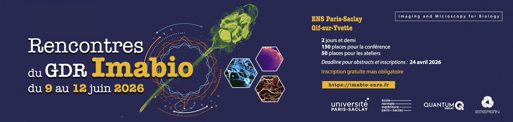 Rencontres du GDR Imabio 9-12 juin 2026