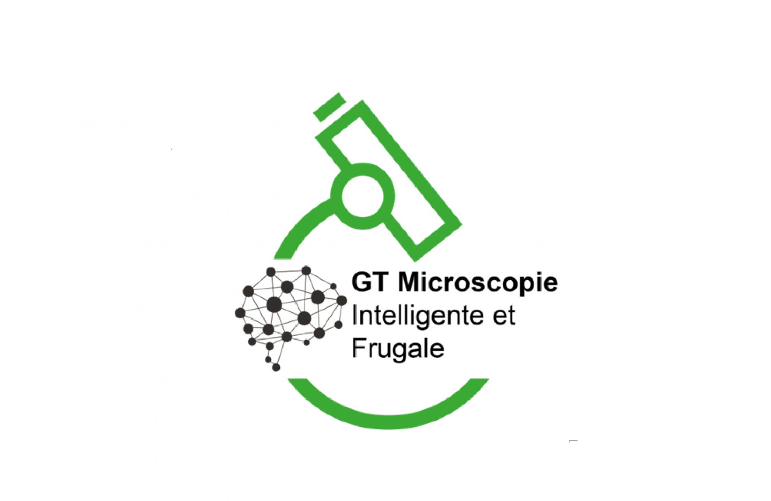 Microscopie Intelligente et Frugale / Smart and Frugal Microscopy