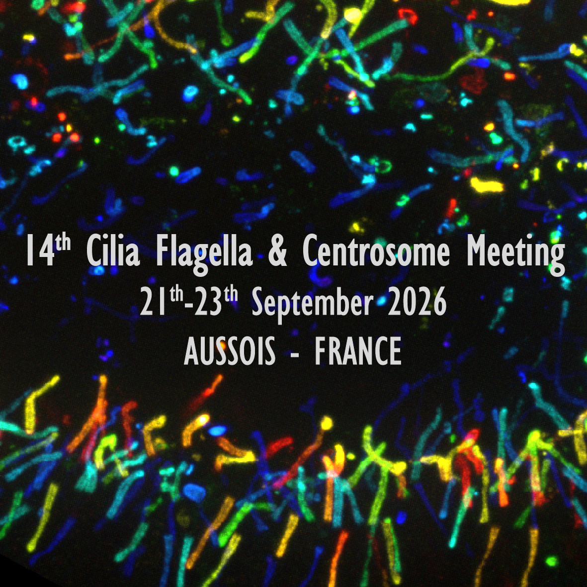14th annual Cilia, Flagella and Centrosome Meeting (CFC2026)