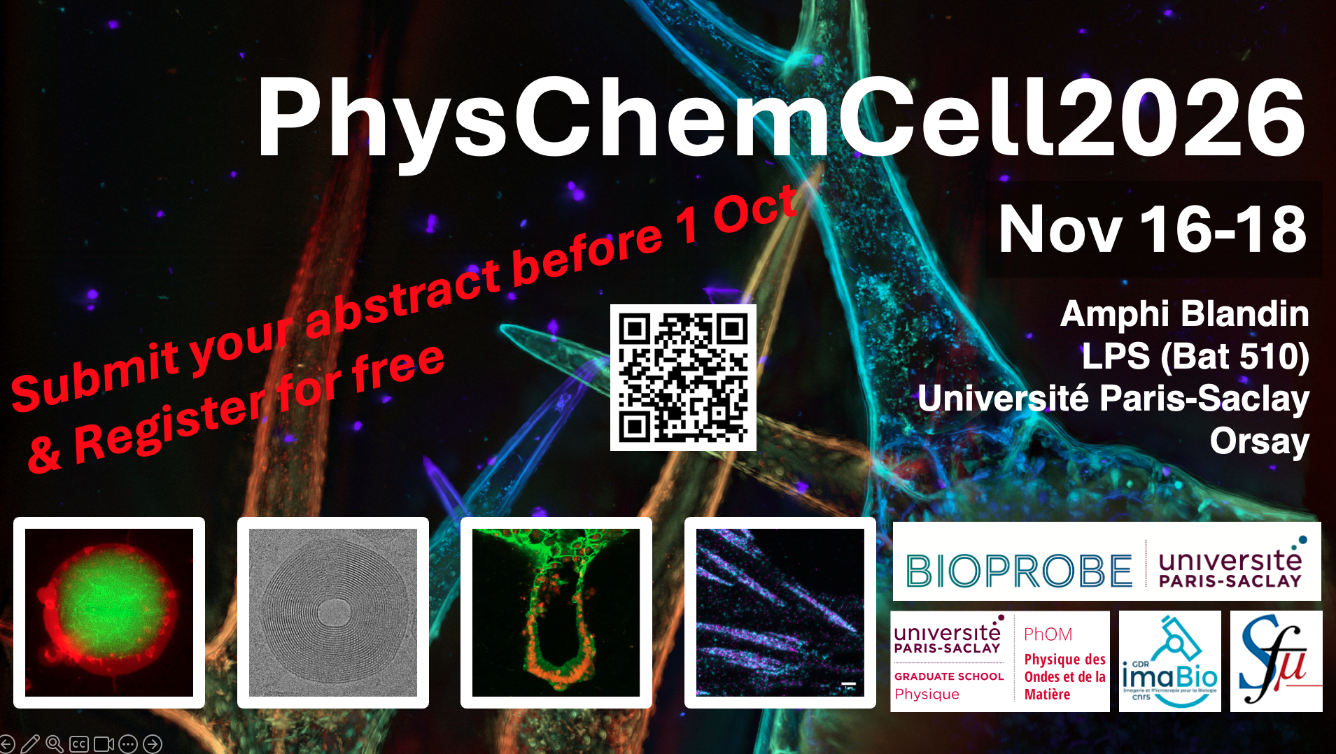 PhysChemCell 2026